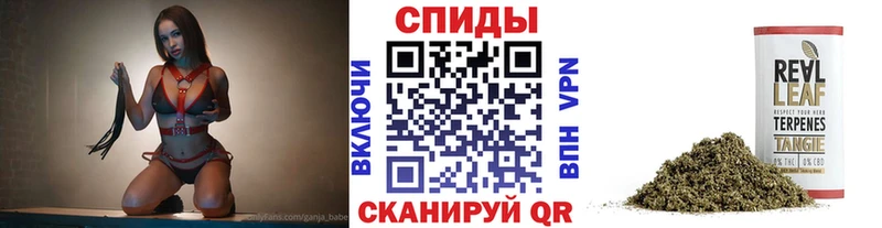 БУТИРАТ BDO  Купить где  Кировск 