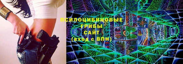 спиды Горнозаводск