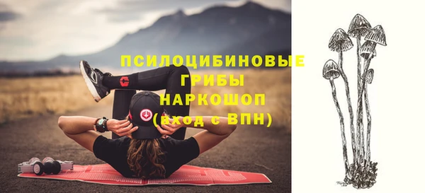 спиды Горно-Алтайск