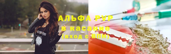 шишки Вяземский