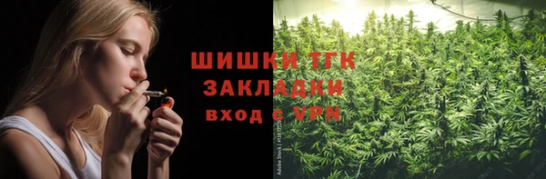 ешки Горняк